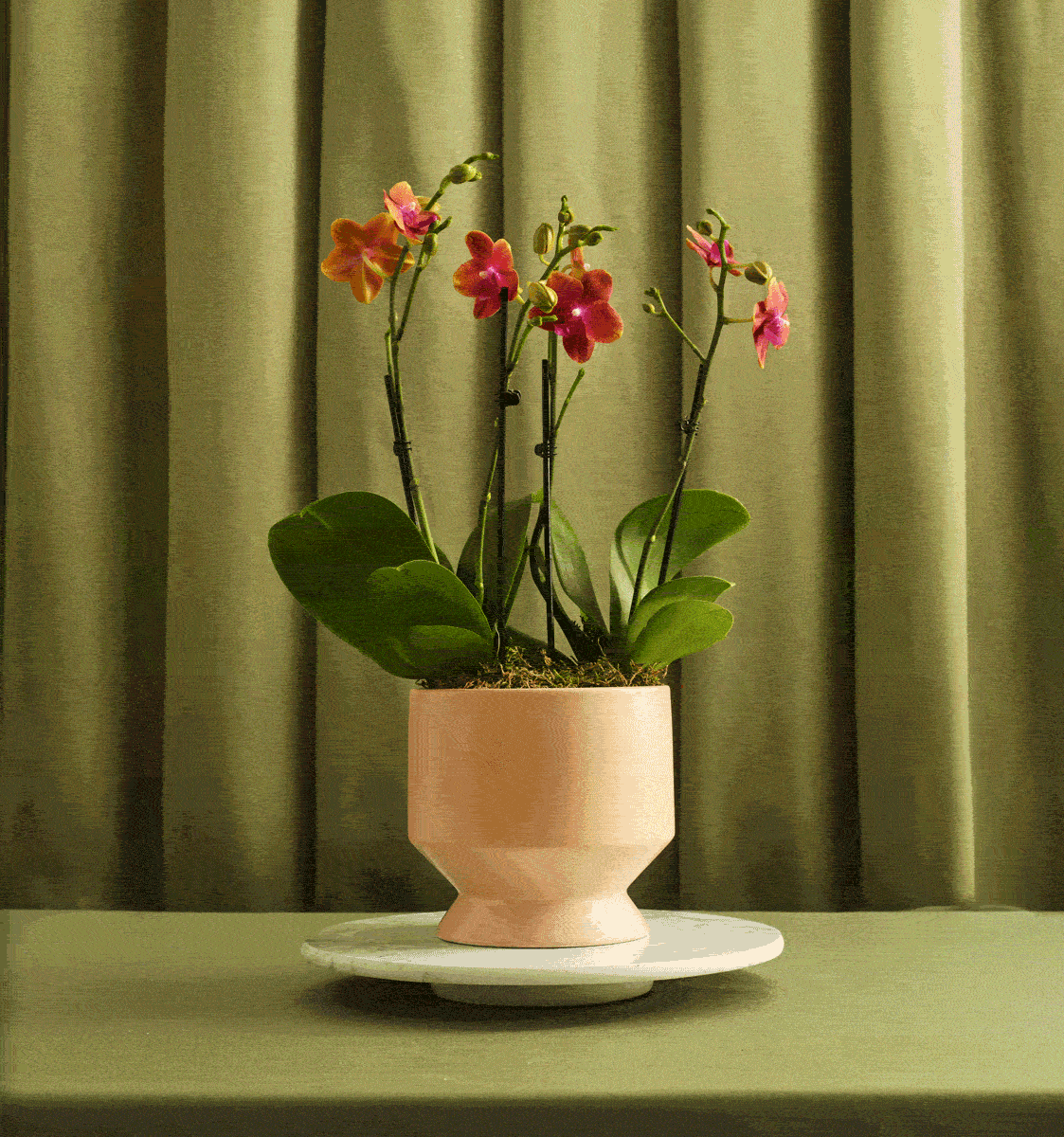UrbanStems