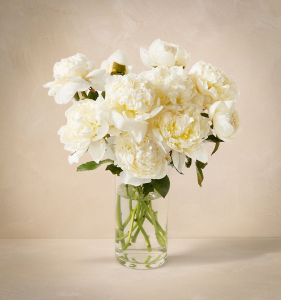 PeonyClouds_MainImage_PDP_v2_g