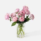 The Peony