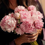 The Peony