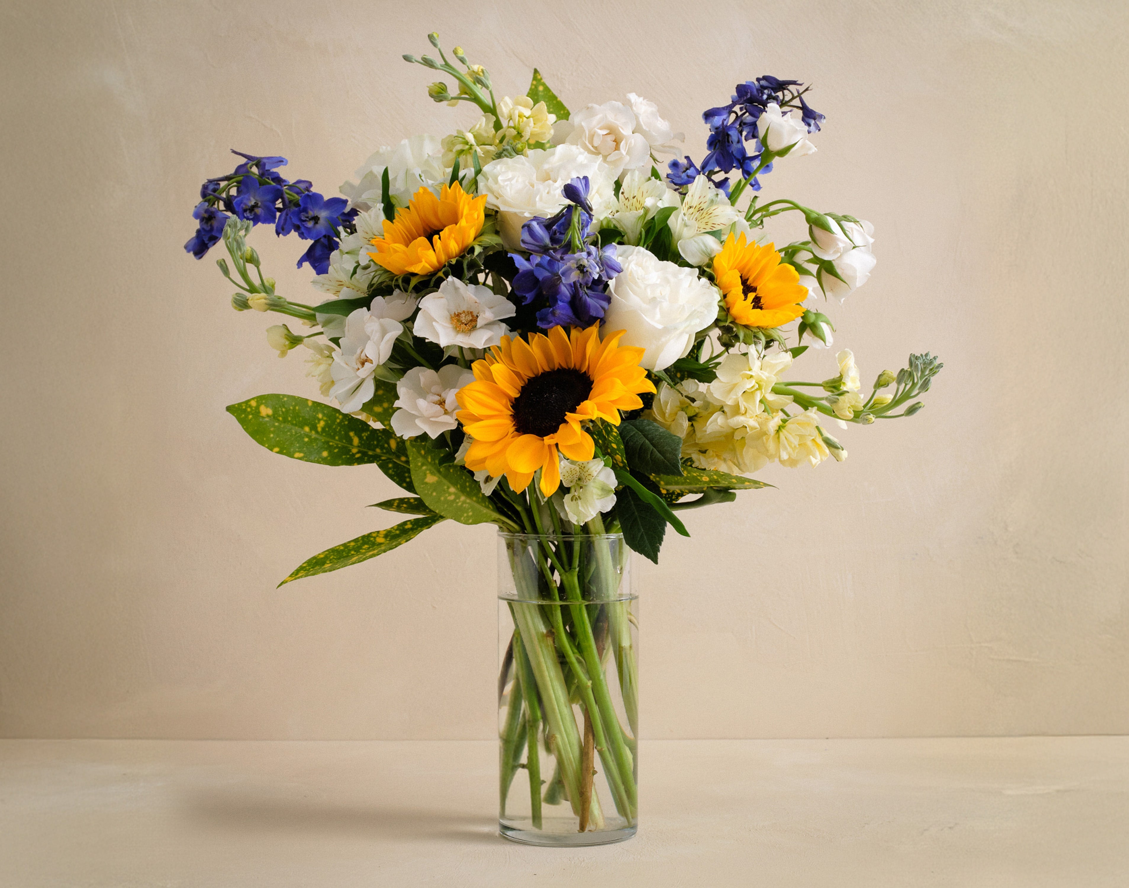 The Picket Fence with Moroccan Glass Pitcher | UrbanStems Flower