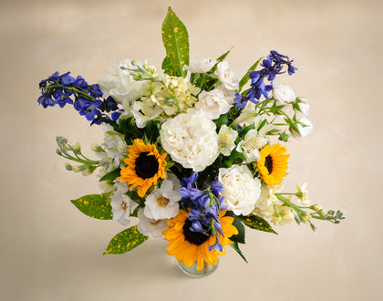 The Spring Indulgence