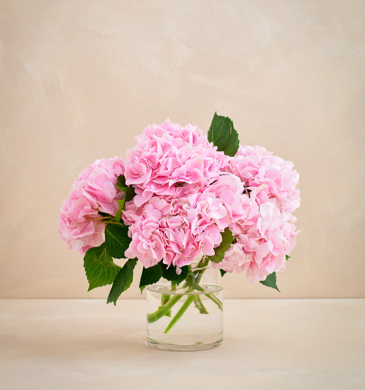 Bouquet of pink flowers in a clear vase on a beige background