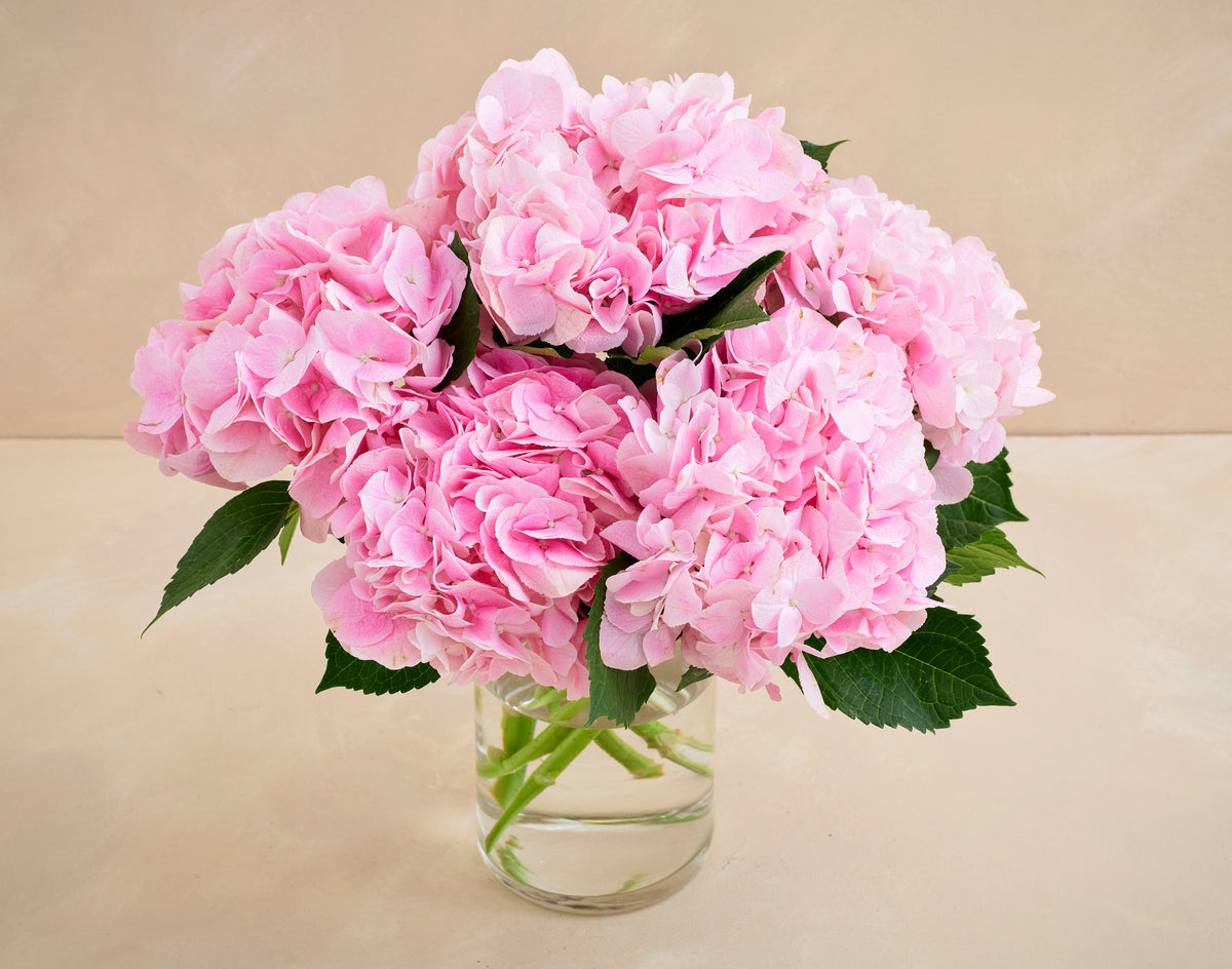 Bouquet of pink flowers in a clear vase on a beige background