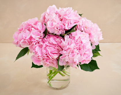 Bouquet of pink flowers in a clear vase on a beige background