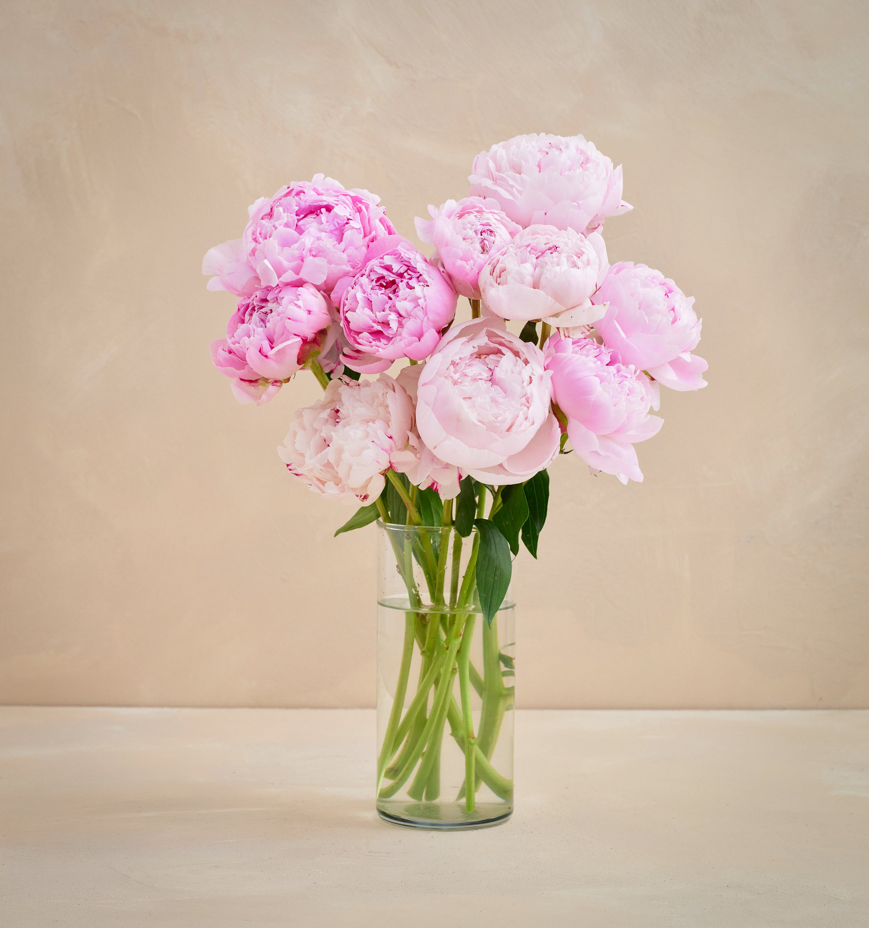 The Peony | UrbanStems Flower Delivery