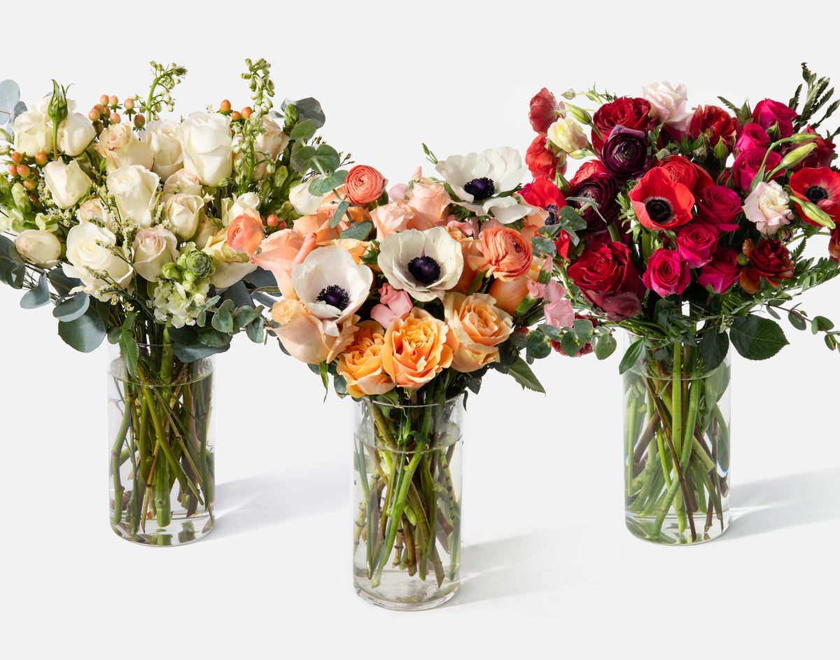 12 Months of Flowers