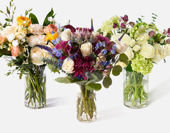 Seasonal Subscription