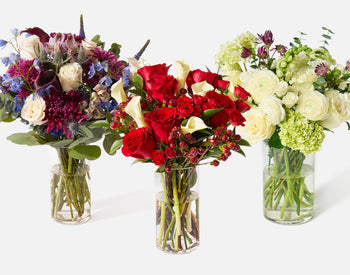 Seasonal Subscription