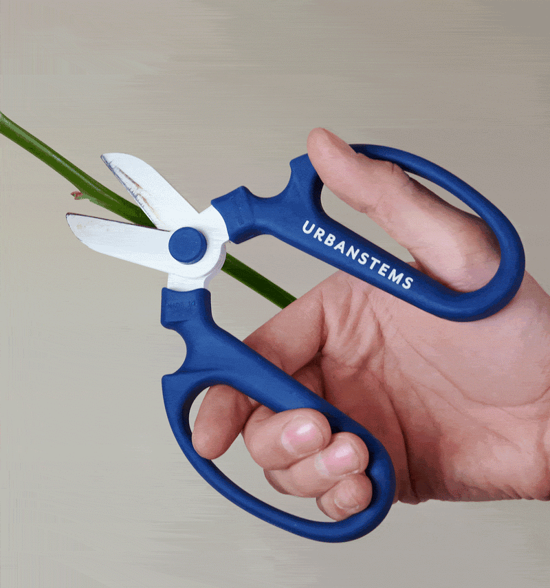 UrbanStems Floral Shears