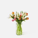 The Signs Of Spring