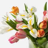 The Signs Of Spring