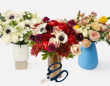 Luxe Subscription
