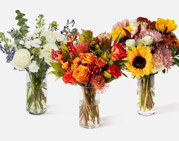 Seasonal Subscription