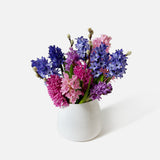The Sweet Hyacinth