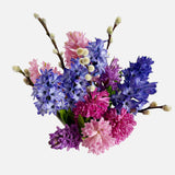 The Sweet Hyacinth