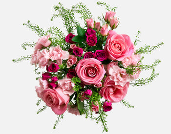 The First Move with Rose Quartz Vase