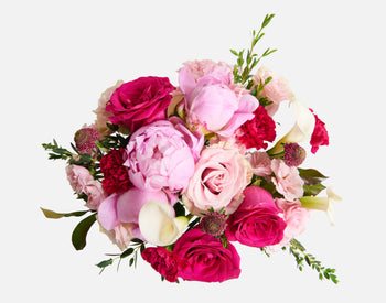 The Hera with Soleil Vase