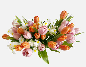 Triple The Signs Of Spring