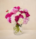 Triple The Alaskan Peony