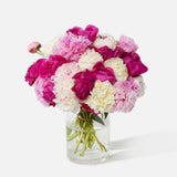 Triple The Alaskan Peony