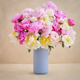 Triple the Grower's Choice Peony