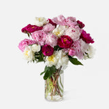 Triple the Grower's Choice Peony