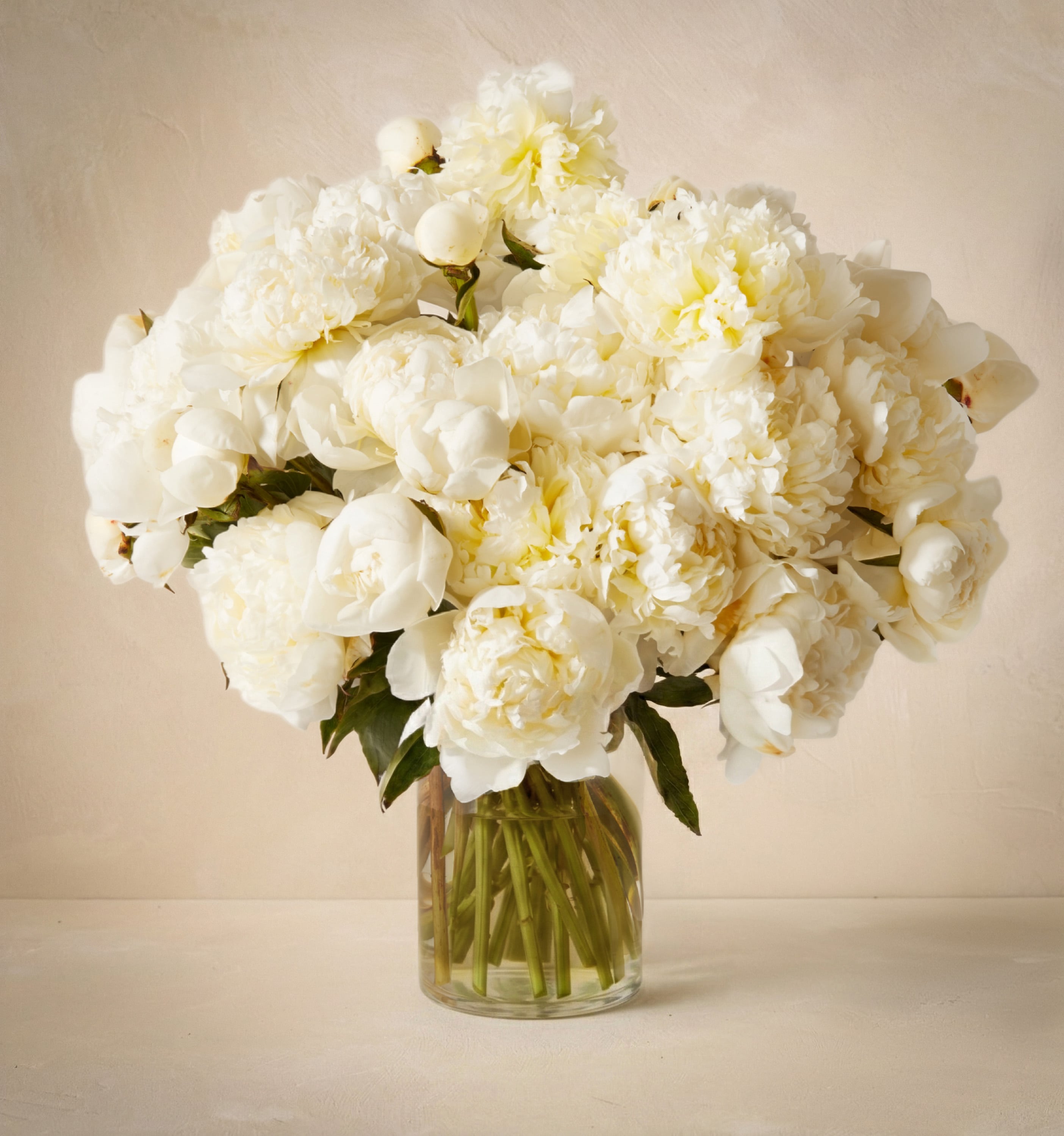 Triple the Pearl | UrbanStems Flower Delivery