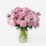 Triple the Peony