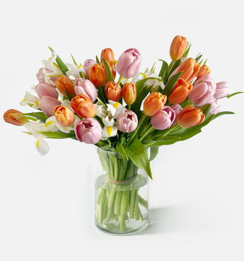 Triple The Signs Of Spring