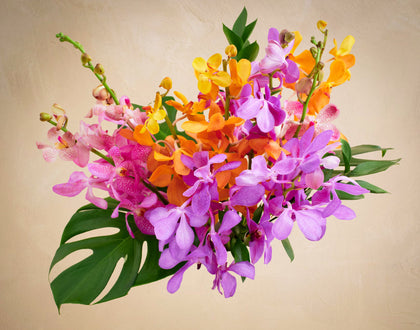 Bouquet of colorful flowers with green leaves on a beige background