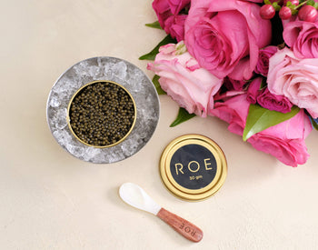 The Ultimate Indulgence