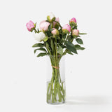 Double the Grower's Choice Peony